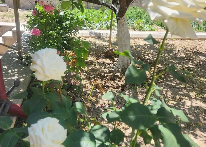 Cappadocia Essa Orange Stone House Невшехир
